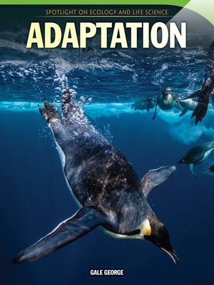 cover image of Adaptation